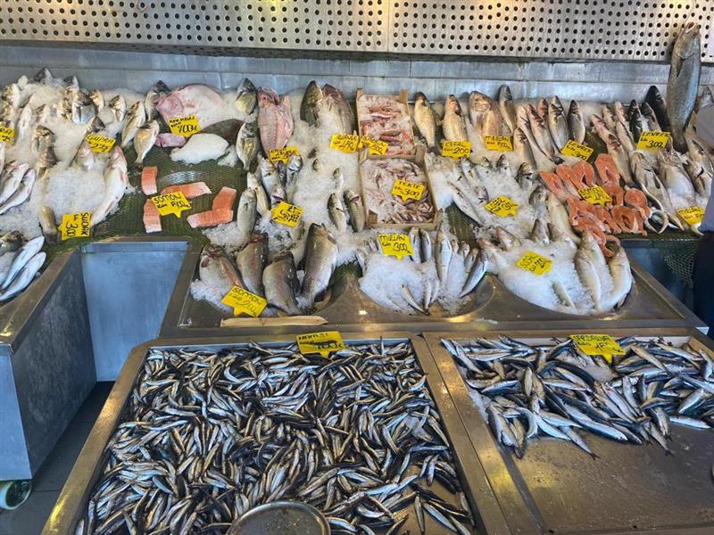 BALIKÇI GEMİLERİNDEN ÇAĞRI: MALİYETLERİMİZ ÇOK YÜKSEK CUMHURBAŞKANIMIZDAN DESTEK BEKLİYORUZ  Balık sezonunun açılması ile birlikte 